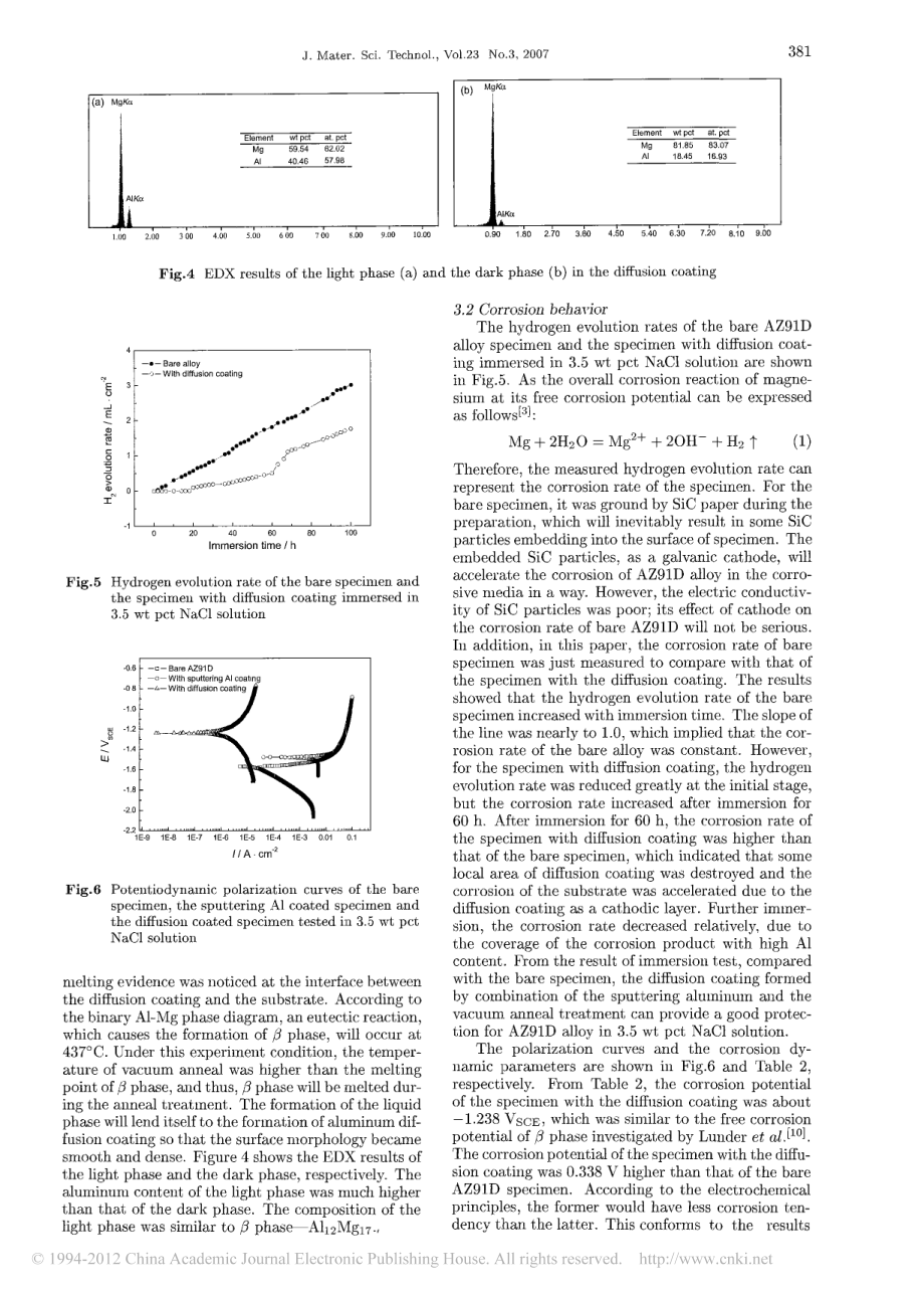 外文原文-铝扩散涂层对AZ91D镁合金的耐腐蚀性能的改进.pdf_第3页