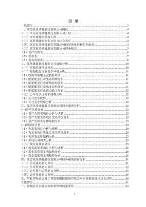 锚链股份有限公司财务报表分析.doc