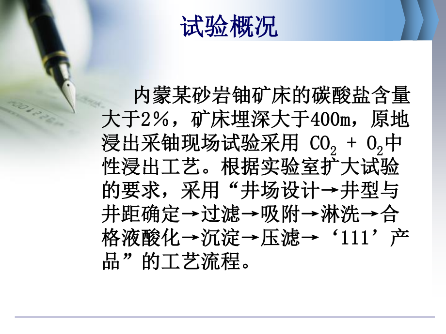内蒙某CO2 + O2原地浸出采铀现场试验方案设计.ppt_第3页