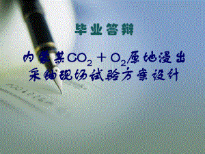 内蒙某CO2 + O2原地浸出采铀现场试验方案设计.ppt