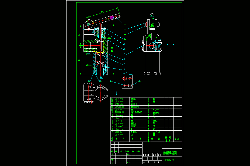 自动闭锁式塞阀CAD图纸.dwg