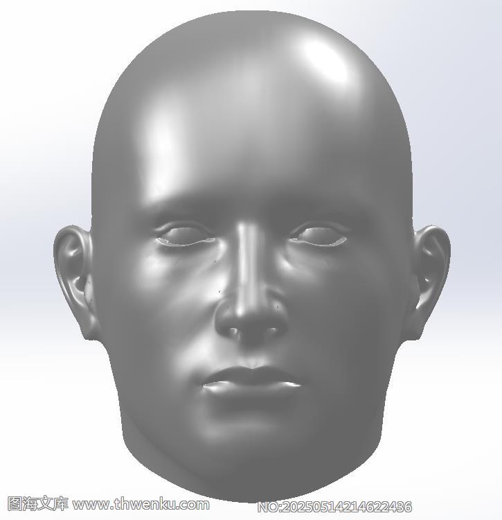 超级逼真人头模型.zip